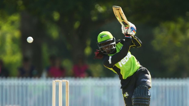Stafanie Taylor of the Thunder on her way to an unbeaten 59 from 38 balls.