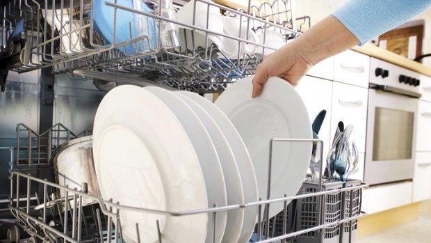 "Pathnogenic potential" ... dishwasher fungus may pose a health threat.
