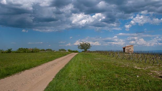 Bit different: Hiking in Madargue farm country near Riom.