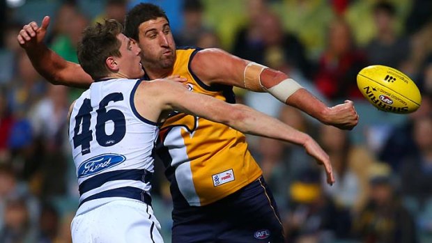 Close encounter: The ball manages to elude the outstretched arms of Cat Mark Blicavs and Dean Cox in a ruck duel.