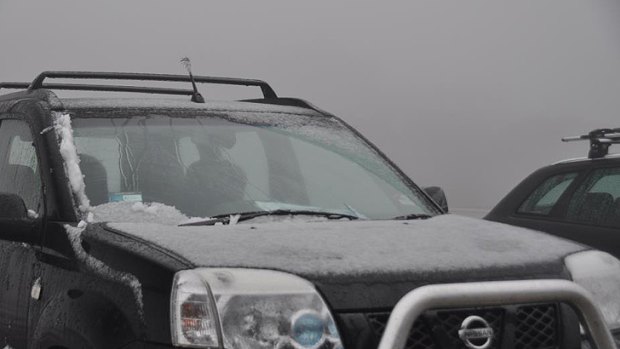Dust-up ... Snow at Mount Hotham this morning.