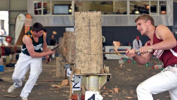 The wood chopping competition.
