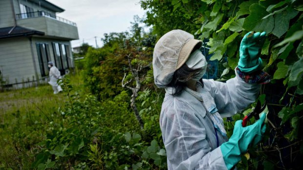Few good choices: a woman wearing protective clothing cuts overgrown plants at her home in Namie.