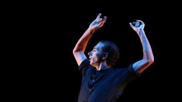 Percussive machine &#8230; superstar Israel Galvan is in Australia to launch the Spring Dance festival.