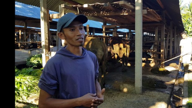 Murdah has changed his mind about raising cattle in Indonesia