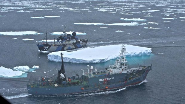 The Sea Shepherd ship Steve Irwin and the whaling ship Yushin Maru No.2 in a cat-and-mouse chase through Antarctic pack ice.
