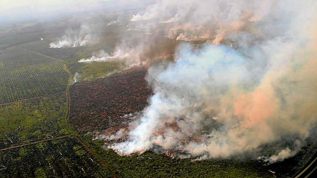 Environment groups say this vast area in the Tripa peat forest in Aceh has been burnt to make way for oil palm plantations.