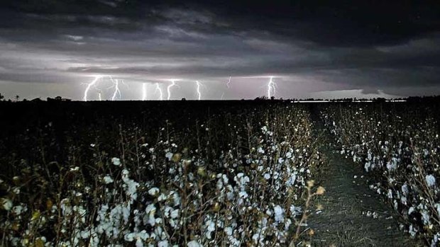 The storm rolls over cotton fields at Brookstead, near Warwick.