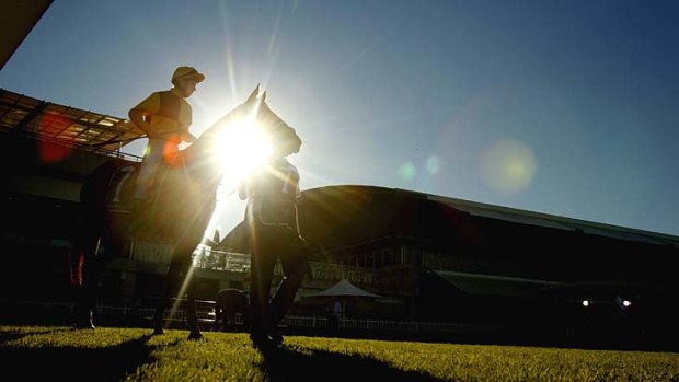 After the soggiest week in two years and the wettest month since 2007, the sun returns. Rosehill Races were back on Monday after the wet weather.