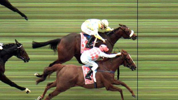 Photo finish ... the moment that made the crowd fall silent.