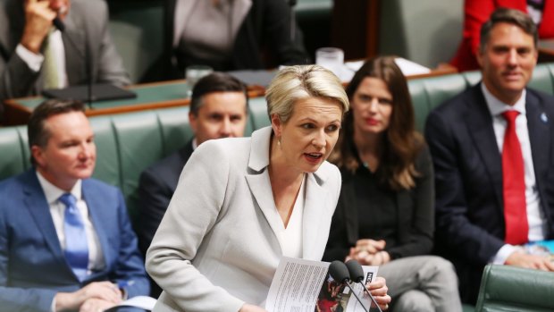 Acting Opposition Leader Tanya Plibersek during question time at Parliament House in Canberra on Wednesday 14 September 2016. Photo: Andrew Meares