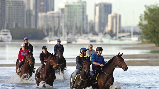 Career-best form ... Melito, right, has been freshened up with plenty of time in the water at the Gold Coast in preparation for the Stradbroke Handicap.
