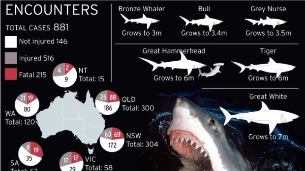 Shark attacks around Australia.