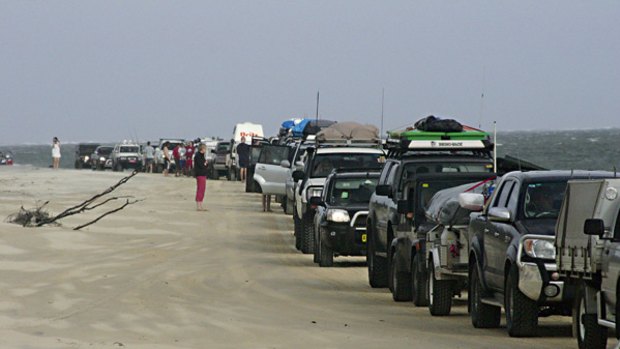 A queue of four-wheel-drives on Fraser Island