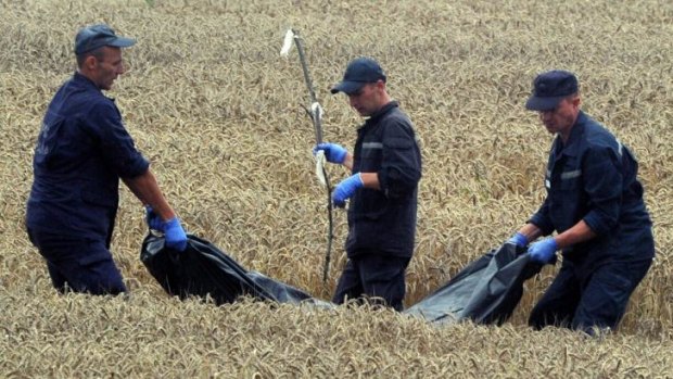 Ukrainian rescue workers collect the bodies of victims in a wheat field at the site of the crash of MH17.
