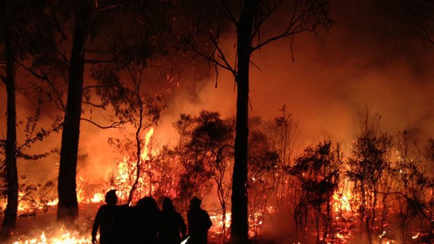 Bushfire ... police are investigating if this blaze in the Blue Mountains was deliberately lit.