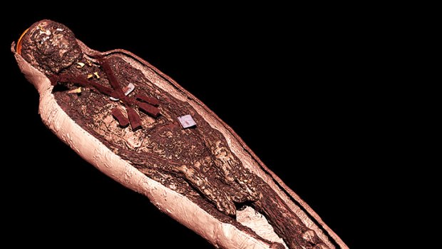 A CT scan of a mummy that will be on display during the exhibition.