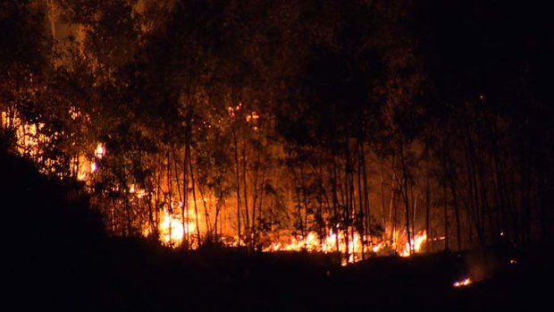 Fire in Springfield bushland overnight.