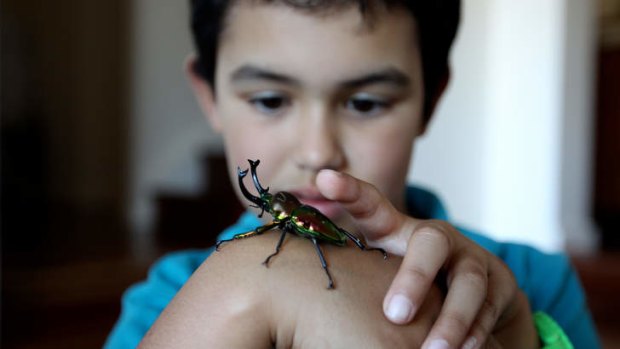 Pets: Byron Mulryan and his beetle.