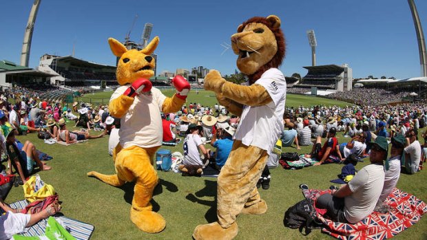 Heat? What heat? High temperatures failed to stop a boxing kangaroo mascot shaping up to provide the knockout blow to the English lion mascot on the hill at the WACA Ground on Sunday.