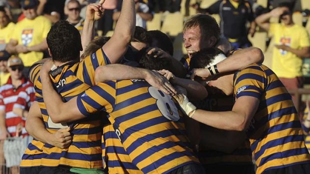 Breeding ground: Sydney University Players celebrate after claiming the Shute Shield last year.