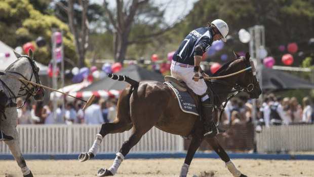 Polo: sport of millionaires and maharajahs.