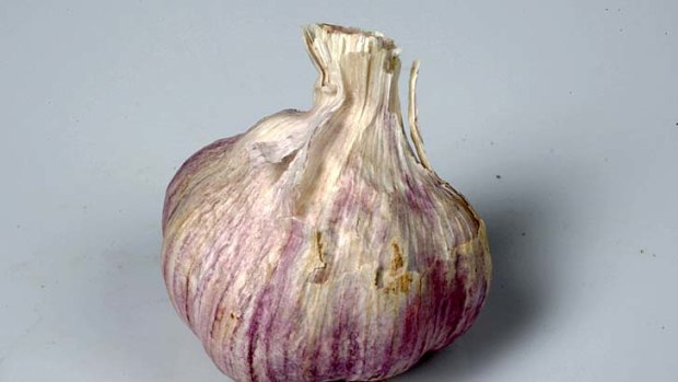 Garlic  ... the discovery is said to open the door to new treatments for raw and processed meats, and food preparation surfaces.