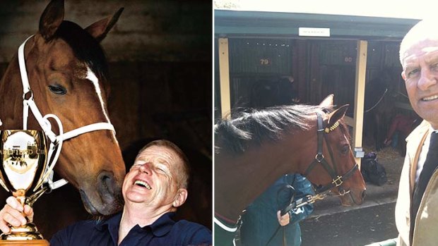 Northerly: in his pomp with trainer Fred Kersley after a Caulfield Cup win (left) and still a star attraction at Caulfield as a 13-year-old in 2010.