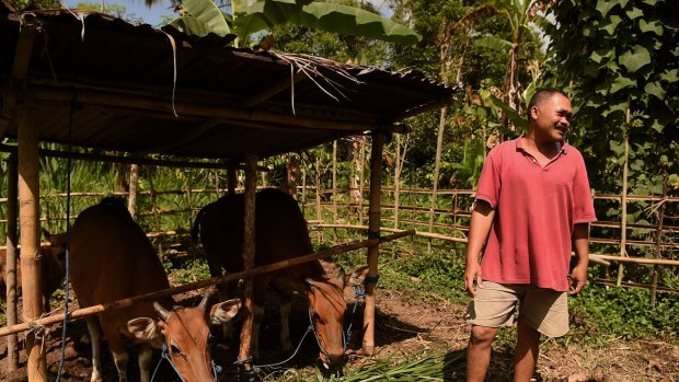 Made Sigi at his home in Menanga village after returning to the red zone to feed his cows as BRIMOB paramilitary officers on patrol warn people in Menanga village from entering the 9km danger zone as Mount Agung threatens to erupt, in the Rendeng area, Bali, Indonesia. 