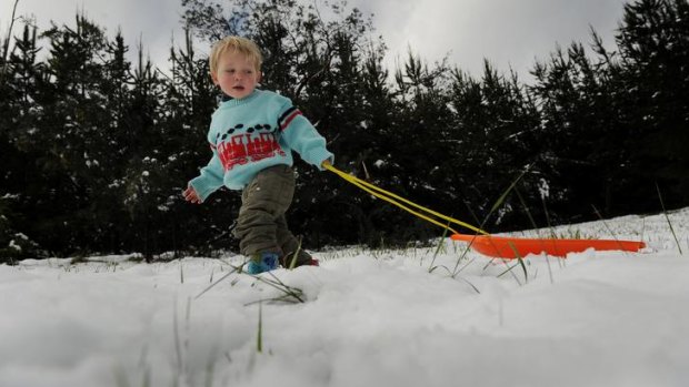 Overnight snow falls in Wamboin, 2 yr old Luca Auzins heads out with his taboogon