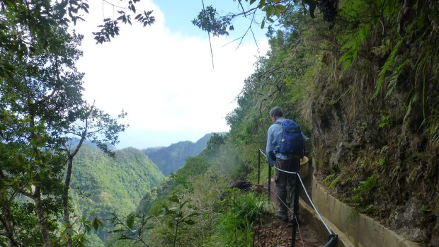Highlight: A hiker negotiates his way along the steep-sided Ribeiro Frio levada.