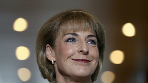 Employment Minister Michaelia Cash said the program would give young people "the skills they need to get their foot in the door".