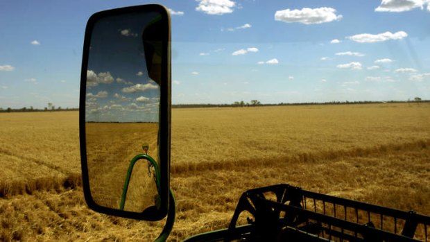 The potential sale of GrainCorp has caused debate within the ranks of the Coalition.