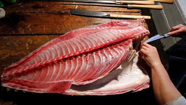 Too radioactive to eat ... the fish of Fukushima.