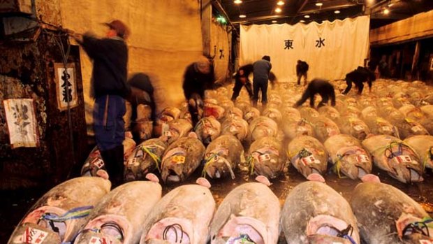 A world unto itself ... Tokyo's famous Tsukiji fish market.                        Veronique  Mandray  Picture Editor  Explore Sun Herald  Traveller Sydney Morning Herald/the  Age  1 Darling Island  Road  Pyrmont NSW 2007  Tel: 02 9282 2442 /  0402425130