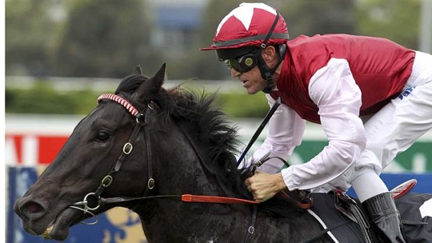 Redemption awaits &#8230; Lonhro colt Sessions is in the 1000 metre scamper (race four) at Warwick Farm.