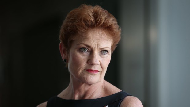 Pauline Hanson's One Nation holds four seats in the new Senate, including two from Queensland.