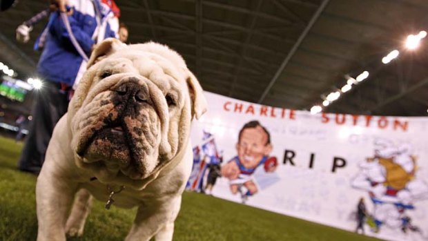 Vale: Western Bulldogs mascot Sid, part of a guard of honour in memory of Charlie Sutton.