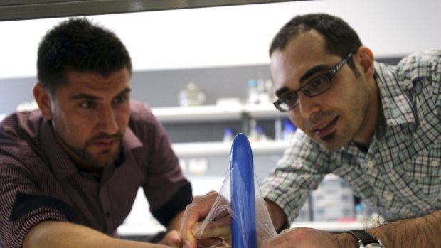 Robert Gorkin, left, and Sina Naficy demonstrate the new latex-replacement they are triallng for condoms.