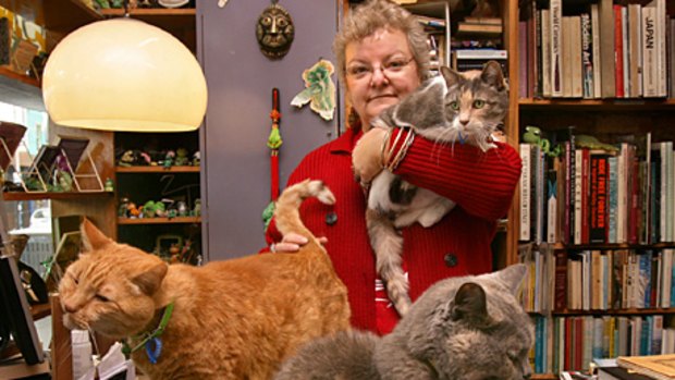 Windsor book store owner Penny Merritt and her three cats, Pixel, Meera (in arms)and Telzey. Picture Simon Schluter.