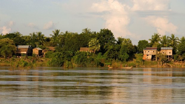 Fascinating: Irrawaddy dolphins live in a particular spot in the river.