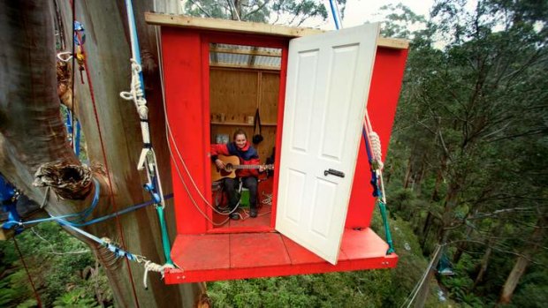 Endangered: Hannah Patchett and others have been living in the Toolangi tree house to raise awareness about the threat of logging to the Leadbeater's possum.