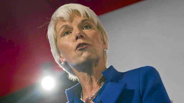 Westpac chief executive Gail Kelly is one of the few women to hold a senior leadership position in corporate Australia.