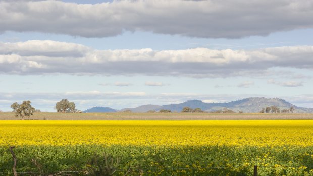 Wangaratta