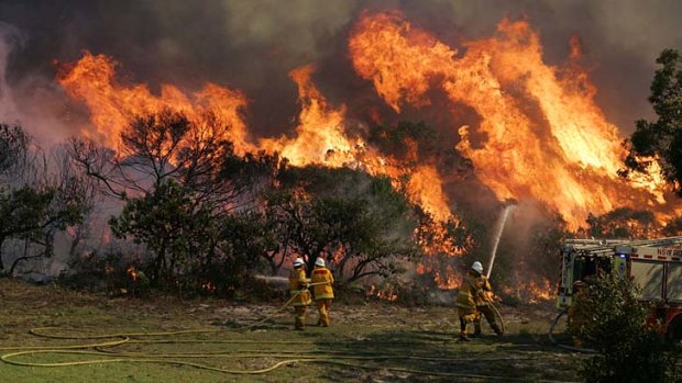 Out of control: Firefighters battle the flames at Fingal Bay in the popular holiday district of Port Stephens.