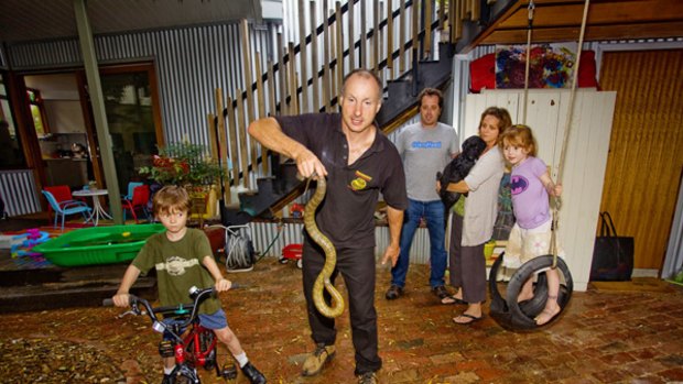 Gotcha! ''Snake Man'' Raymond Hoser comes to grips with a feisty adult male tiger snake while the concerned Cussen family, of Clifton Hill, looks on apprehensively.