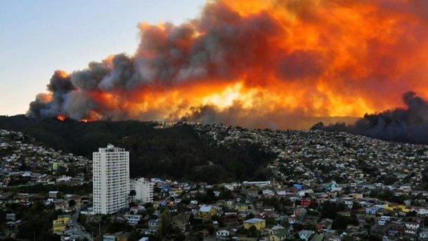 The fire began in a forest on one of the city's many steep, heavily populated hills