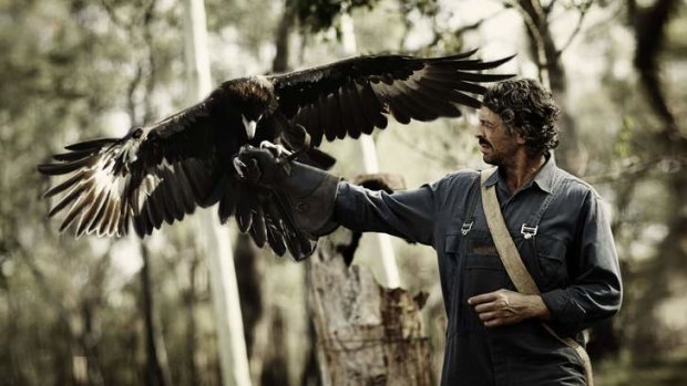 Actor Don Hany and wedge-tailed eagle Bart on the set of the movie <i>Healing</i>, being filmed at Kyneton.