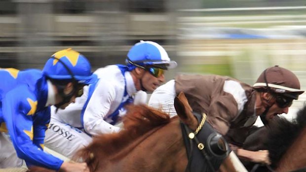 Head-turner ... Gerald Mosse, centre, sits in the middle of the field on Americain during the first lap of the Drake International Cup.