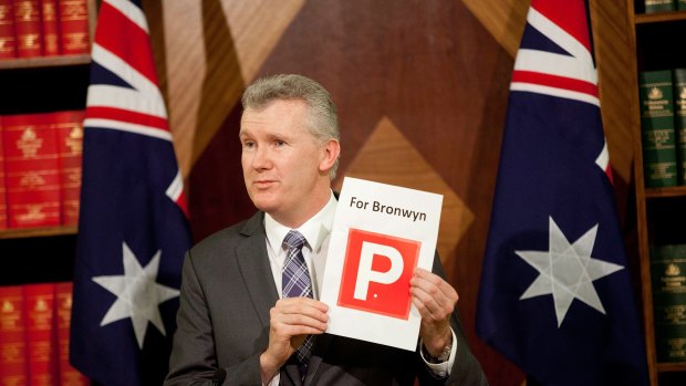 Labor's Tony Burke, who led the opposition's successful pursuit of Mrs Bishop over her expenses, is facing questions over his own use of entitlements. 